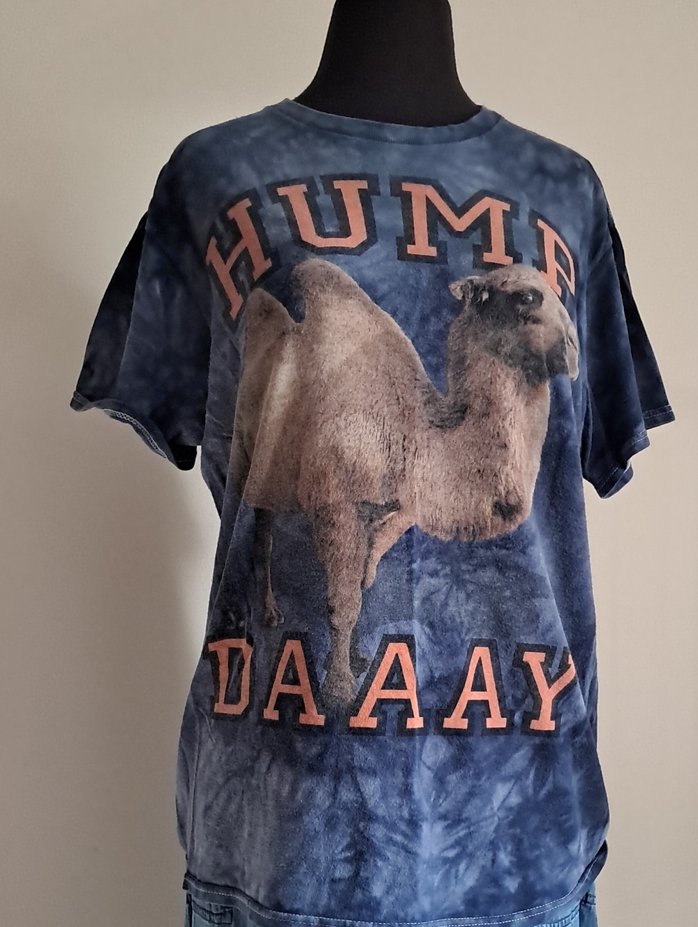 The Mountain Blue Tie-Dye Camel Graphic Tee